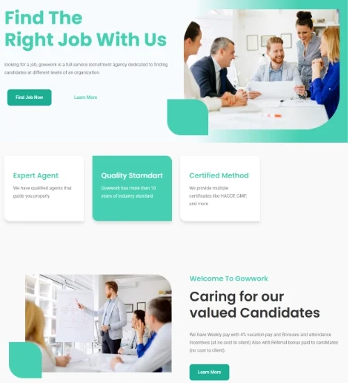 gowwork website profolio